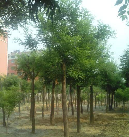 Cultivation methods