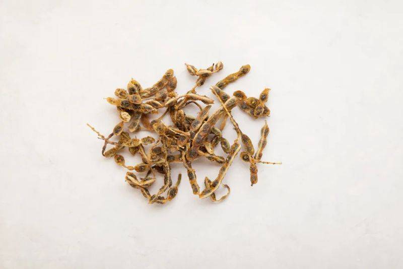 Cultivation methods