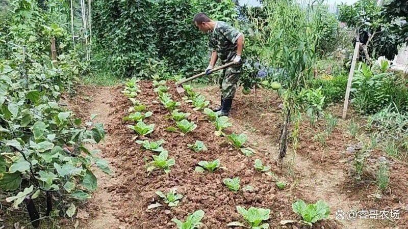 种植技术大全