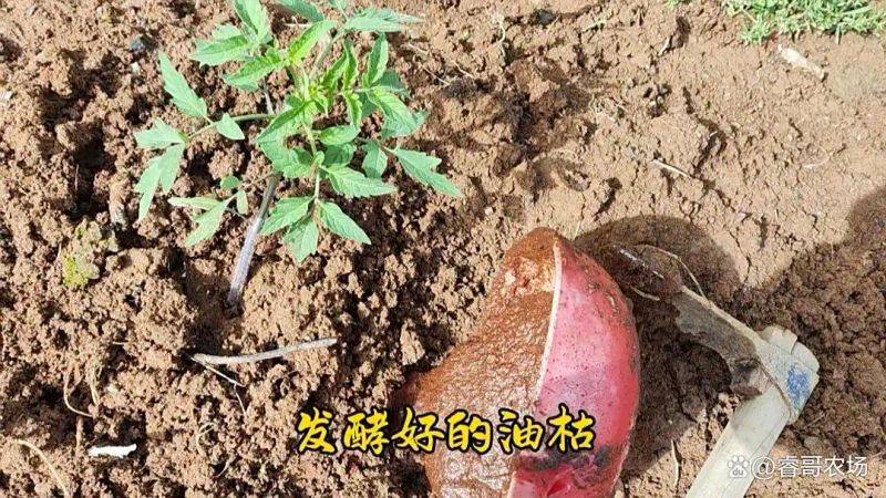种植技术大全