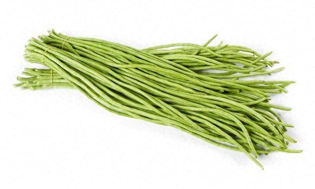 无架豇豆种植技术