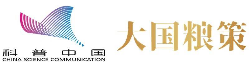 剑麻种植技术
