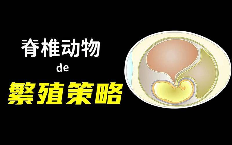 hiit变速跑的原理解释