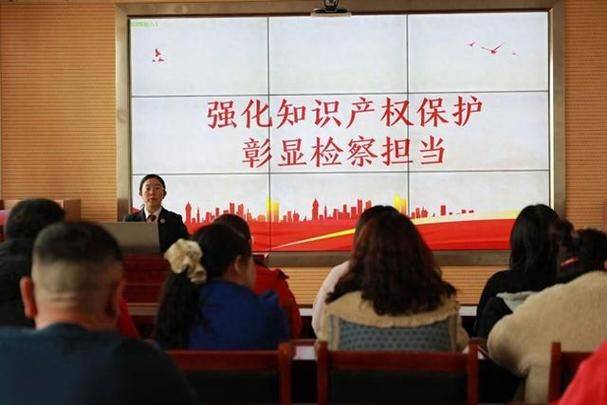 知识产权法律服务方案