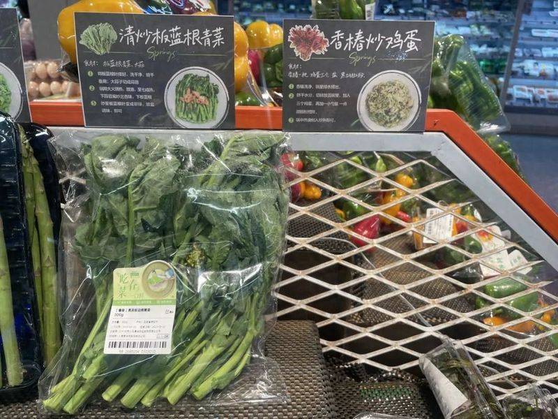 板蓝根种植技术视频