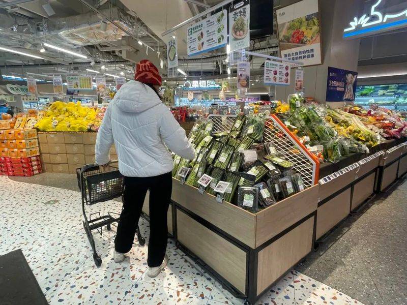 板蓝根种植技术视频