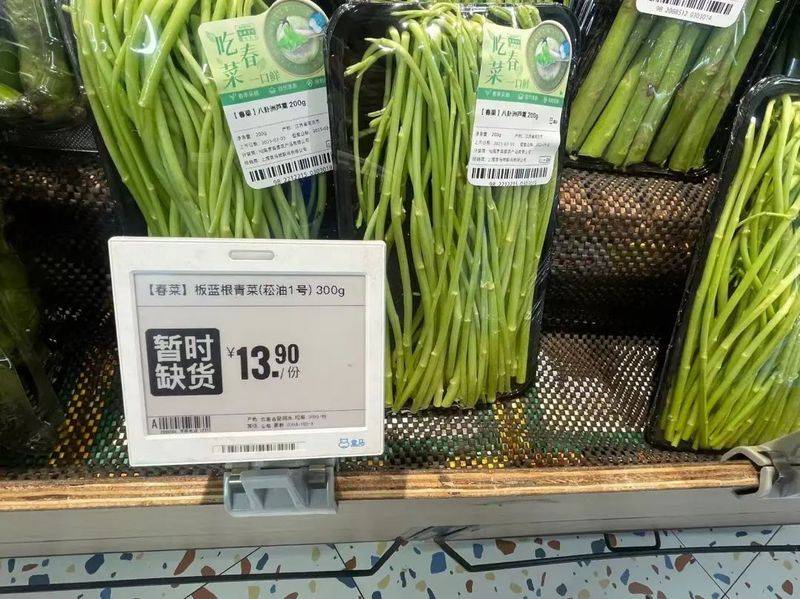 板蓝根种植技术视频