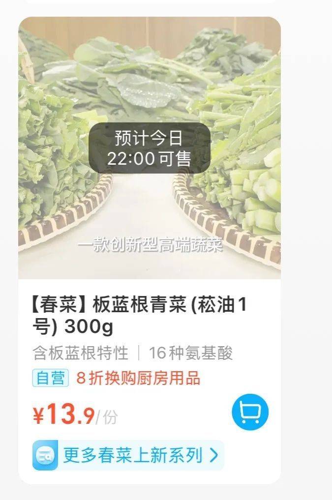 板蓝根种植技术视频