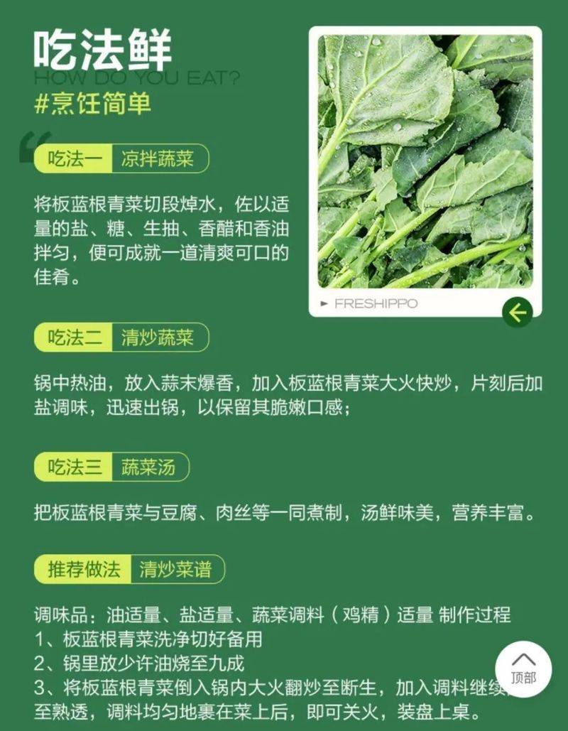 板蓝根种植技术视频