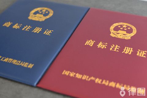 Intellectual property rights