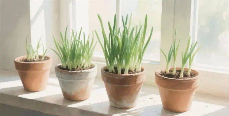 种植技术大全