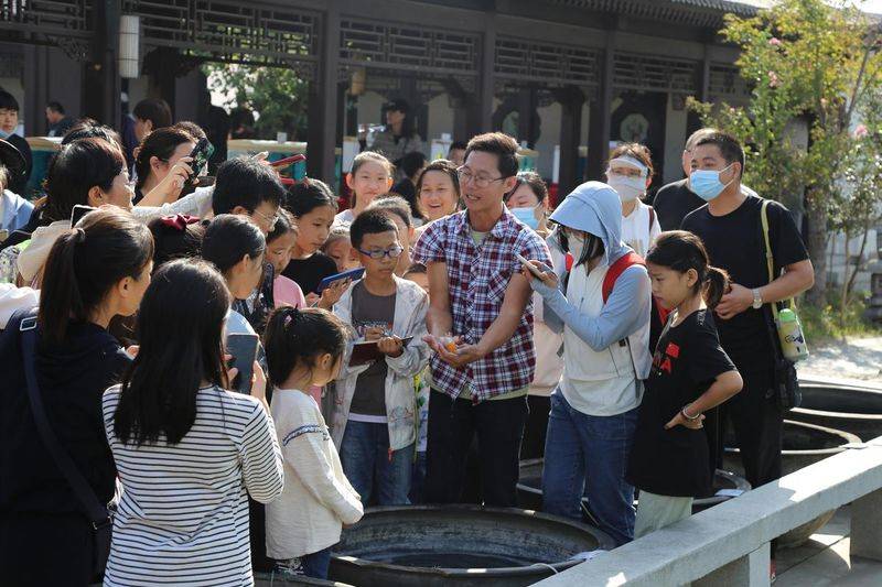 知识产权法律服务方案