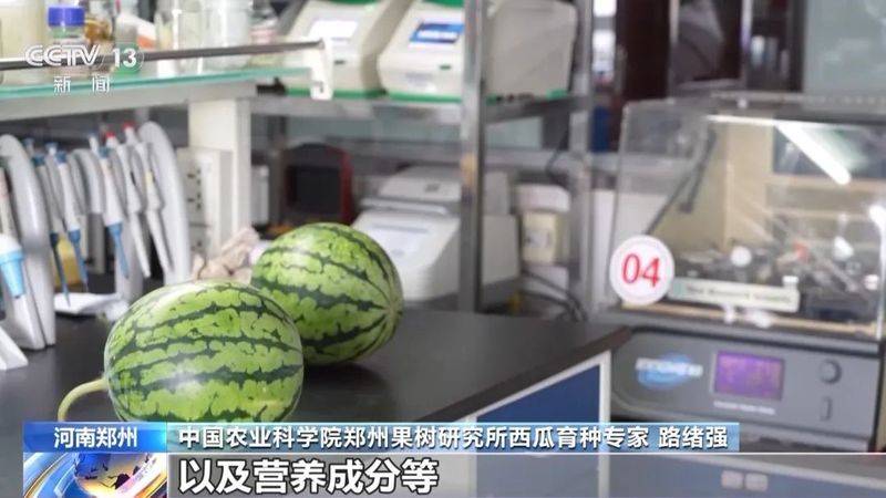 适合河南种植的果树
