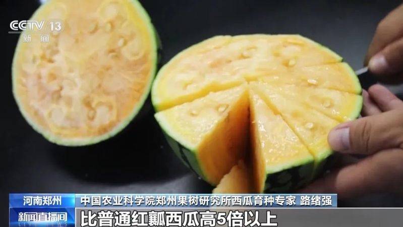 适合河南种植的果树