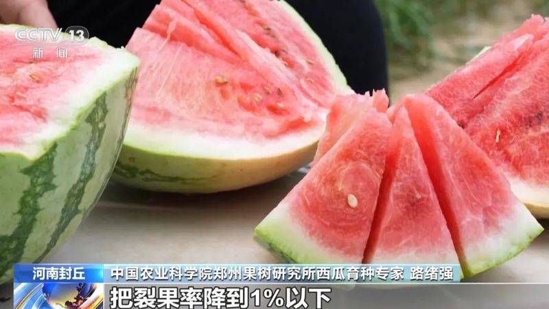 适合河南种植的果树
