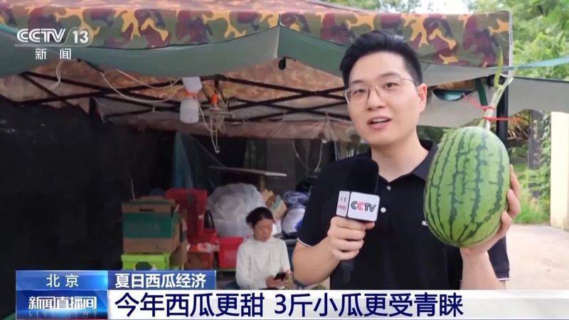 适合河南种植的果树