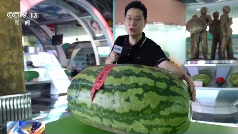 适合河南种植的果树