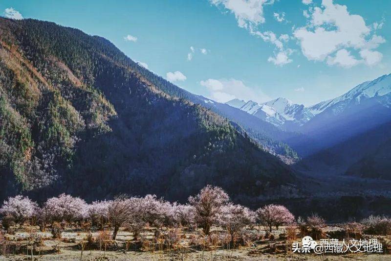 雅鲁藏布江大峡谷成因