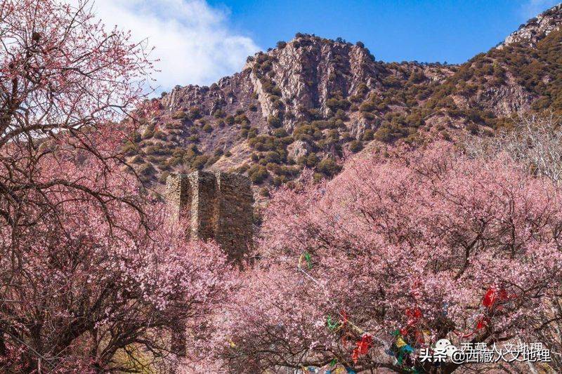 雅鲁藏布江大峡谷成因