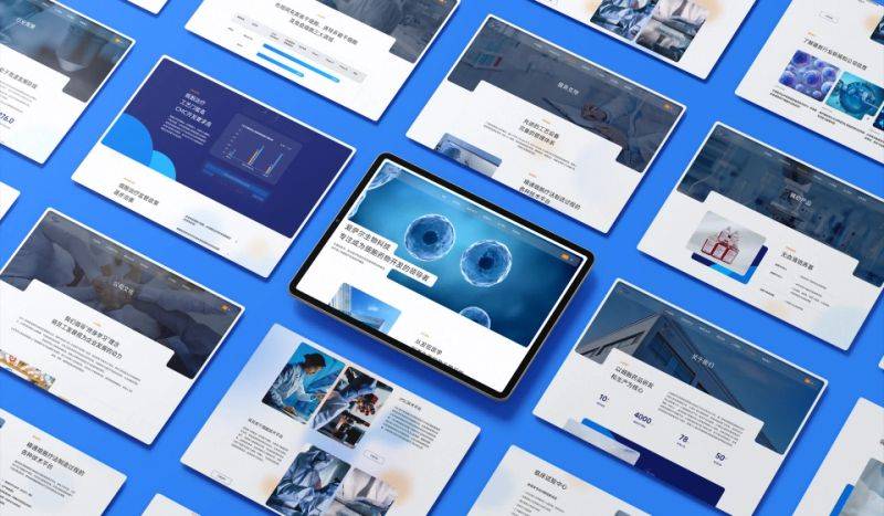 Ten years of experience web development corporation