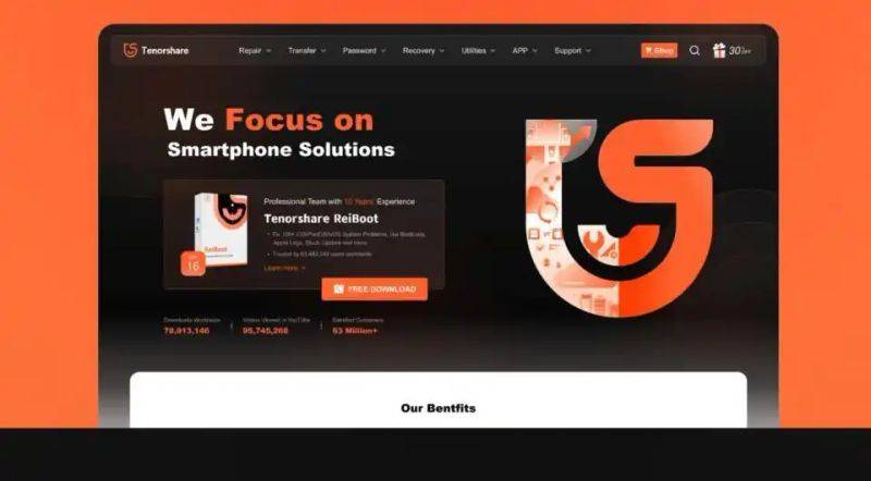 Ten years of experience web development corporation