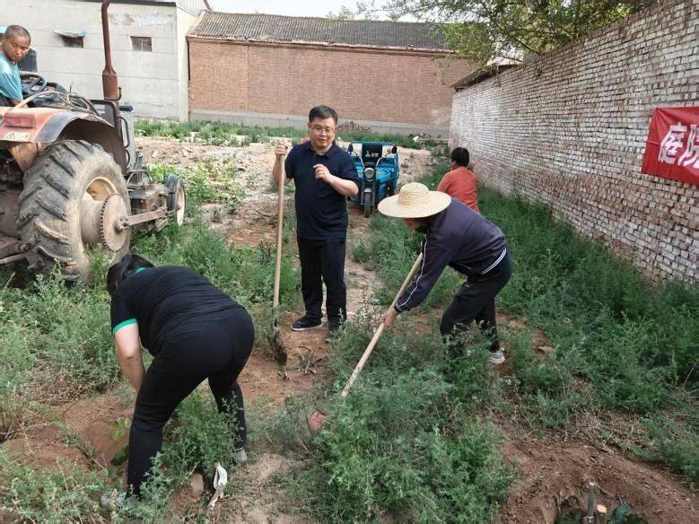 香椿苗种植方法