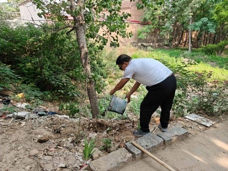 香椿苗种植方法