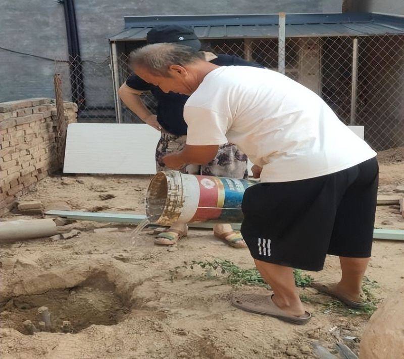 香椿苗种植方法