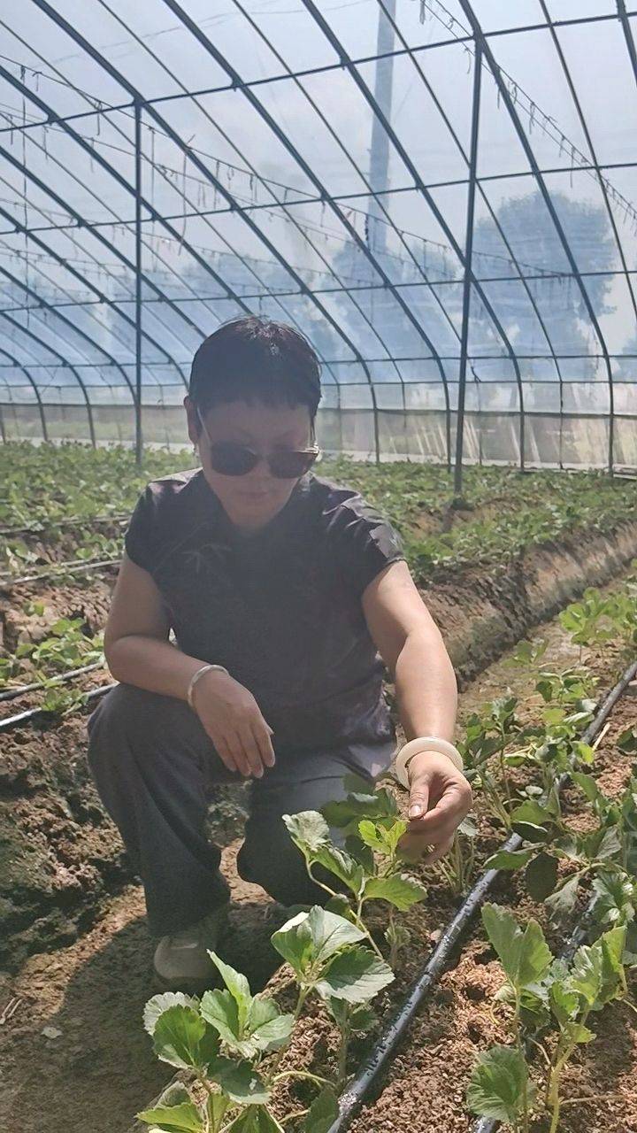 适合河南种植的果树