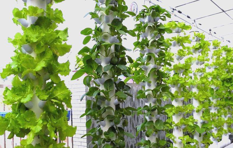 种植技术大全