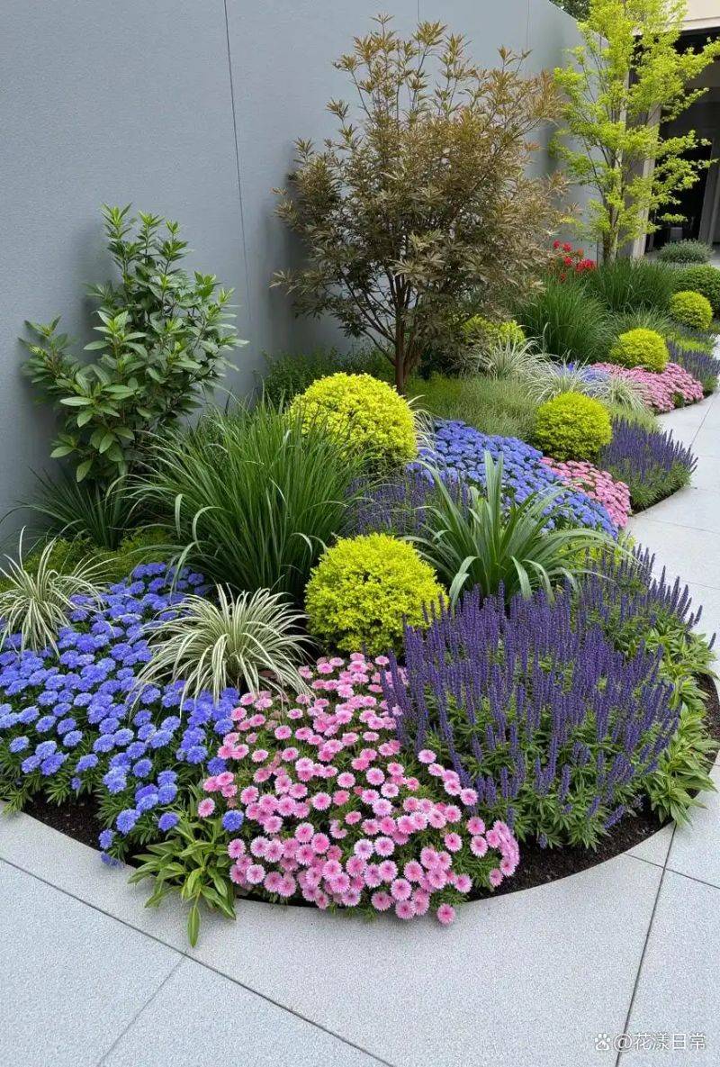 阳光房花坛植物种植