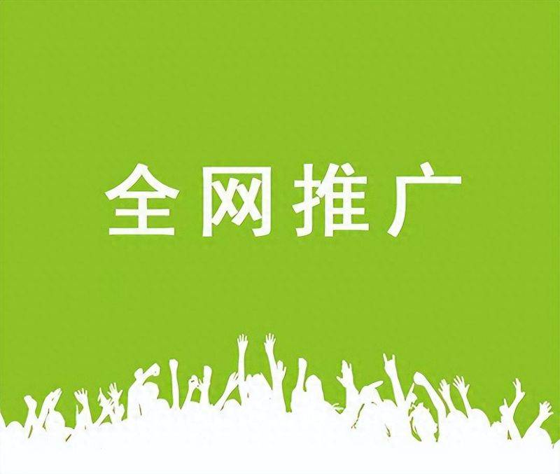 保定seo网站排名优化