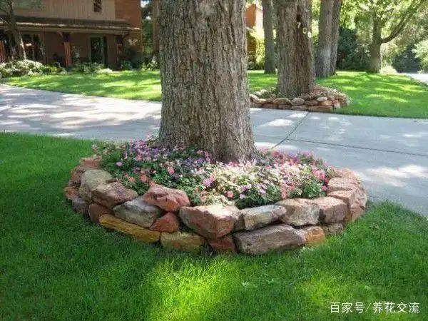 阳光房花坛植物种植