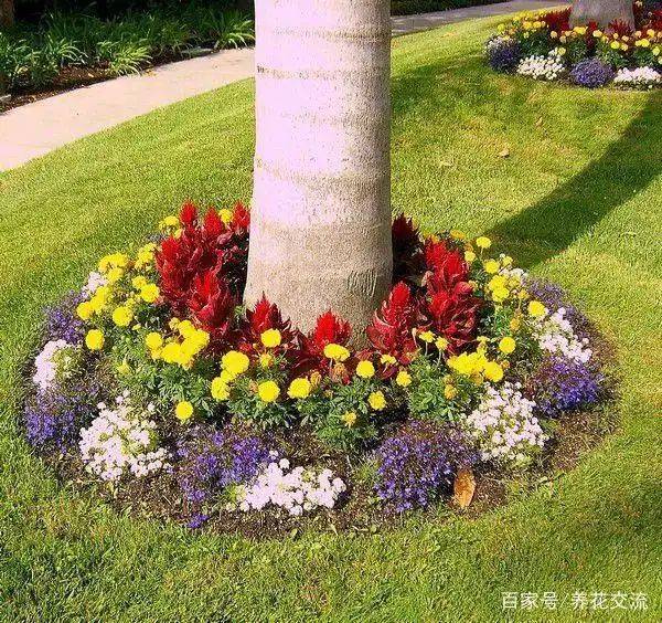 阳光房花坛植物种植