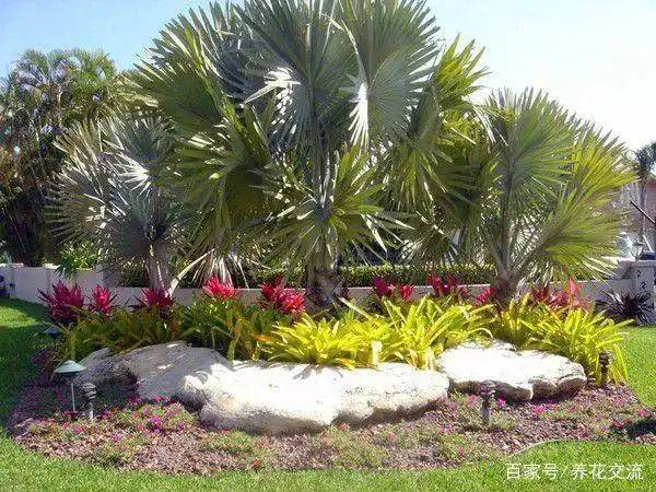 阳光房花坛植物种植