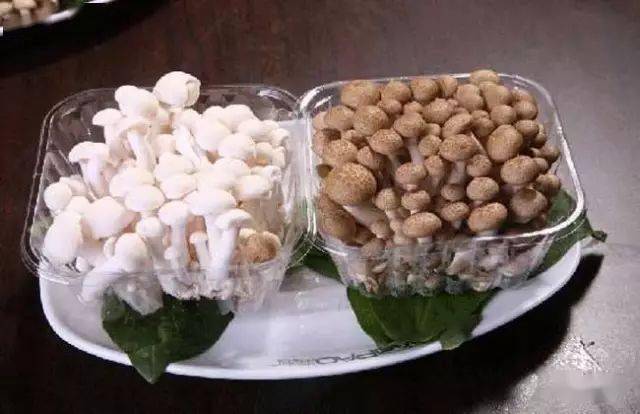 蘑菇种植方法