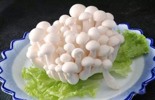 蘑菇种植方法