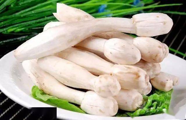 蘑菇种植方法