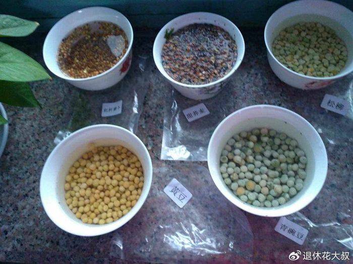 空心菜种植方法
