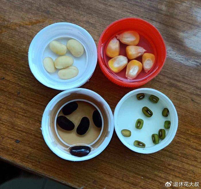 空心菜种植方法