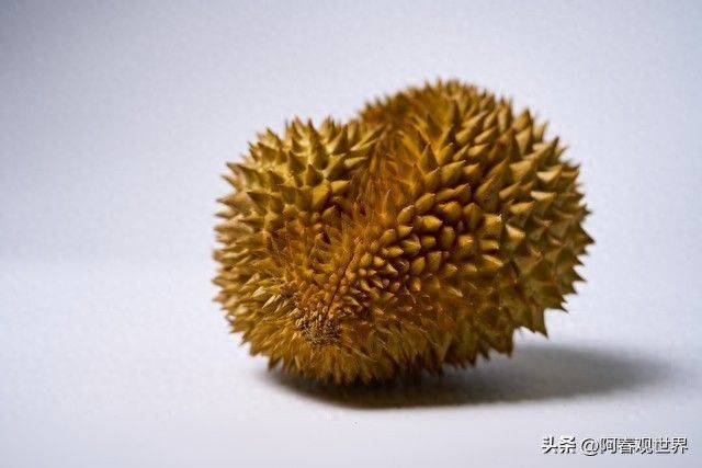 退货后卖家运费由谁承担