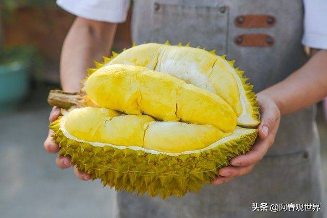 退货后卖家运费由谁承担