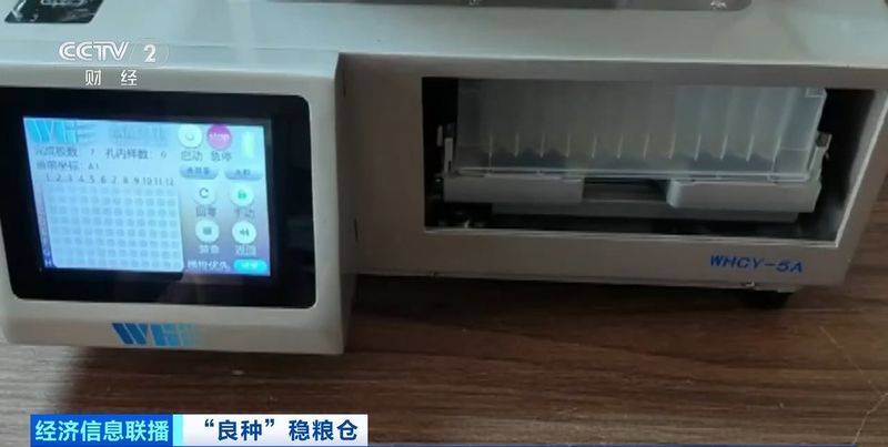 规模化种植蔬菜的成本