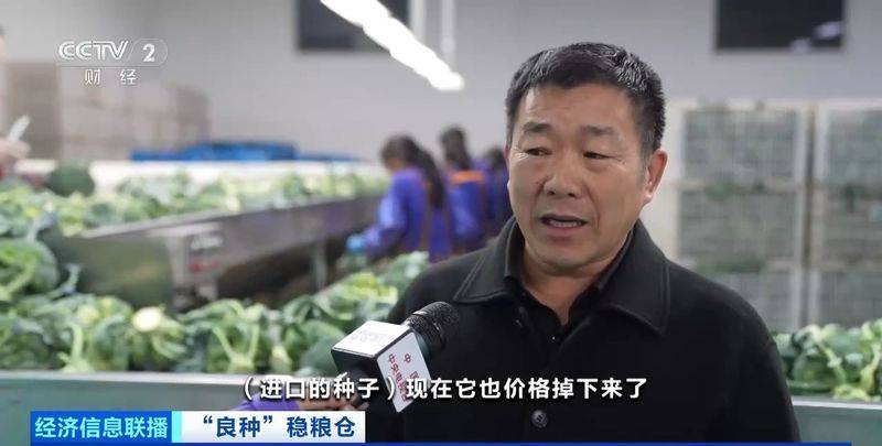 规模化种植蔬菜的成本