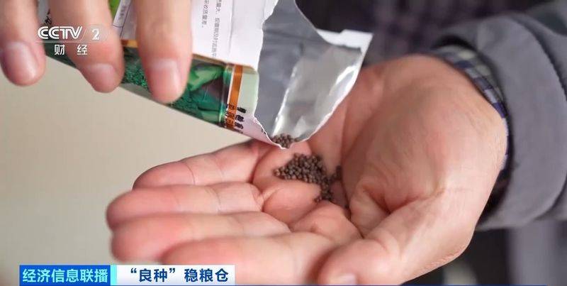 规模化种植蔬菜的成本