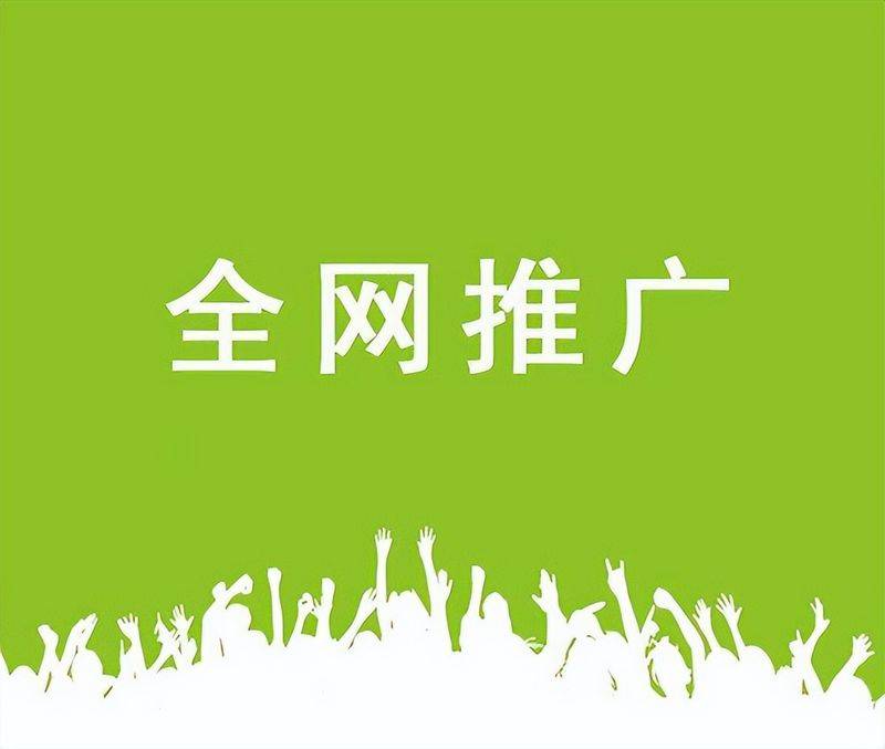 保定seo网站排名优化