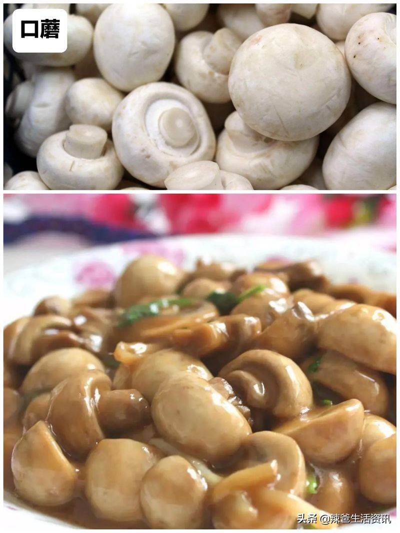 蘑菇种植方法