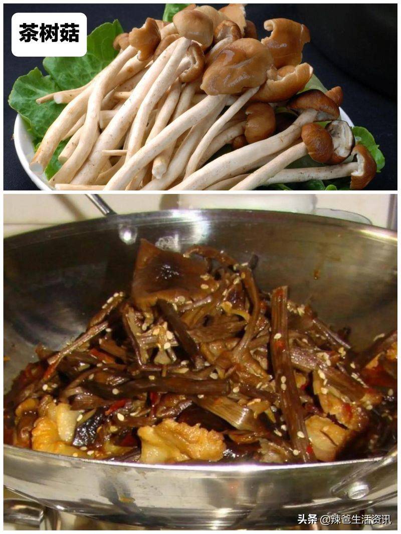蘑菇种植方法