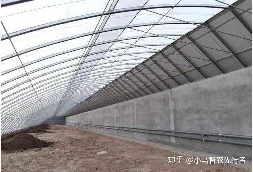 大棚水果黄瓜种植技术精选