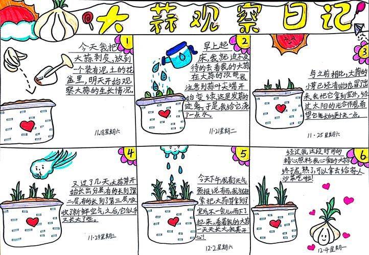 大蒜怎么种植方法